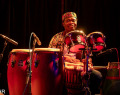 Afrikassel-