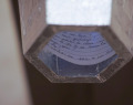 Amoeeba-09507