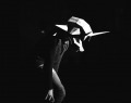Amoeeba-09534