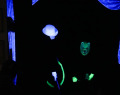 Schwarzlicht-03098
