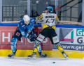 20220109-DSC01889