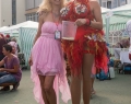 CSD 2018-3