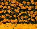 MKI09602klein