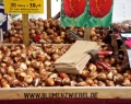 Herbstzauber 2016 (11)