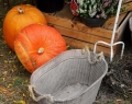 Herbstzauber 2016 (19)