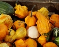 Herbstzauber 2016 (28)