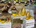 Herbstzauber 2016 (35)