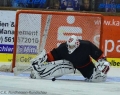 huskies2-9-2012-002