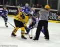 huskies-krefeld_003