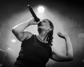DSC_6508klnxsw