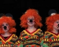 Karneval-in-Helsa-21