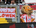 6DSC_6419kl