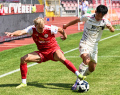 5DSC_1149st