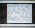 Mint-2025-04281