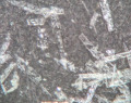 Mint-2025-125631052