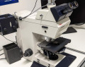 SFN-102845566