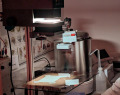 SFN-123147508