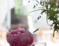 OPEN-HOUSE-1-von-26