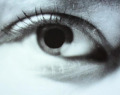 Film-091107141