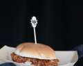 Steckenpferd-82-von-96