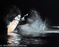 surfcup-007