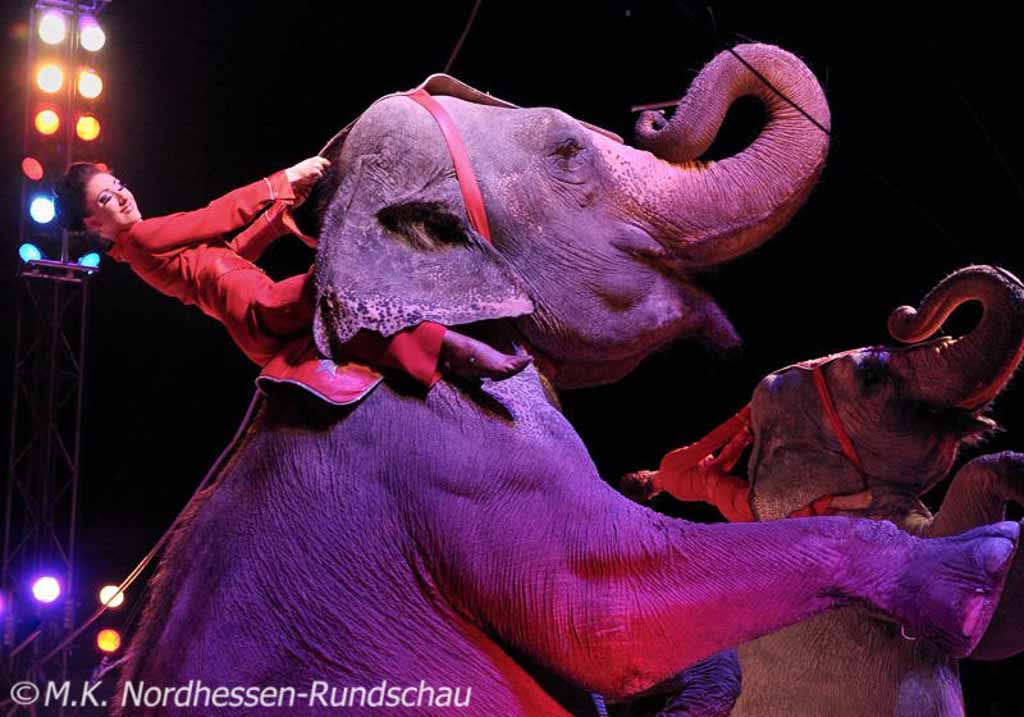Zirkus „Charles Knie“ eröffnete mit einer gelungenen Premiere