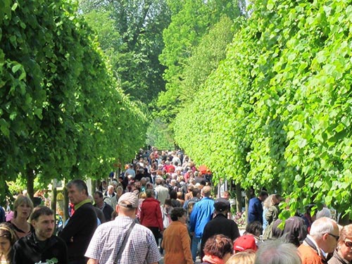 Mehrere Tausend Besucher zur 14. Pflanzenbörse im Botanischen Garten Kassel erwartet