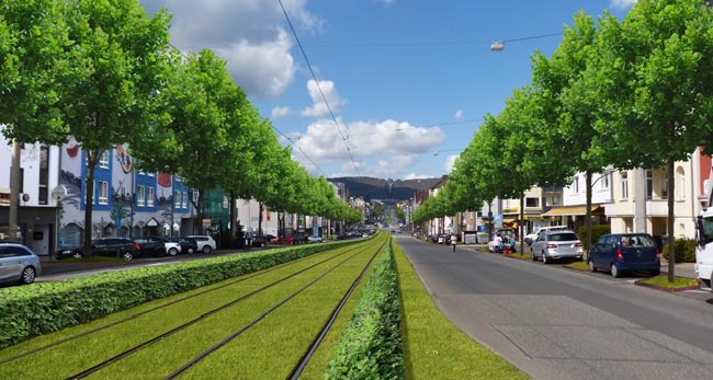 Rasengleis und 200 neue Bäume werten die Wilhelmshöher Allee auf