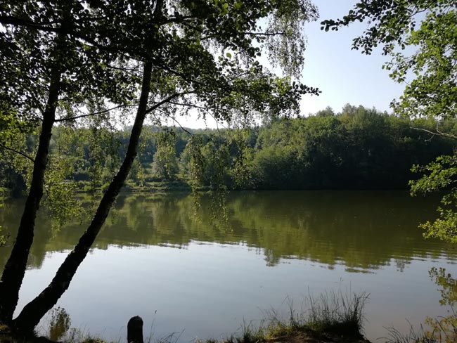 Extrem niedrige Wasserstände erfordern Einschränkungen – es drohen Strafen bis zu 100.000 Euro