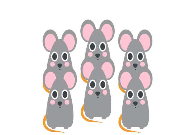 Wirksame Hilfsmittel um Mäuse zu vertreiben