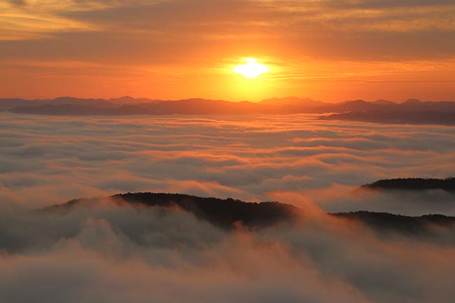Nebel – schön und gefährlich:  Wie er entsteht und warum sich die Wolke am Boden vor allem im Herbst und Winter bildet
