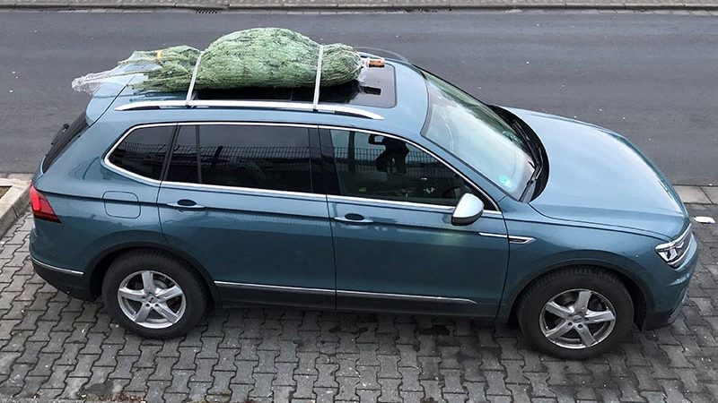 Oh Tannenbaum! ADAC-Tipps zum sicheren Weihnachtsbaumtransport
