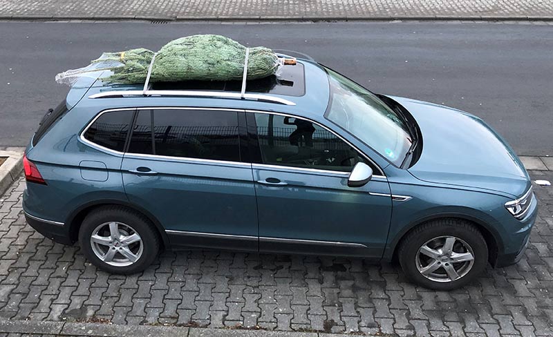 Oh Tannenbaum! ADAC-Tipps zum sicheren Weihnachtsbaumtransport