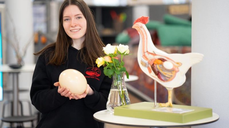 „Oster-Event im Future Space Kassel: Besucher informieren sich an Lerninseln rund um das Thema Ei“