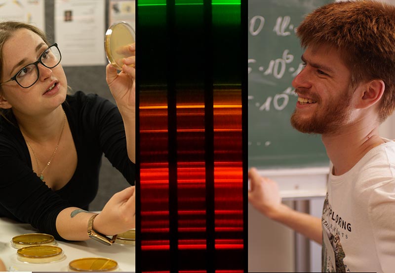 Faszinierende MINT-Ferien: Spannende Entdeckungen im SFN und Future Space Kassel – Von Exoplaneten bis zu Milchbakterien