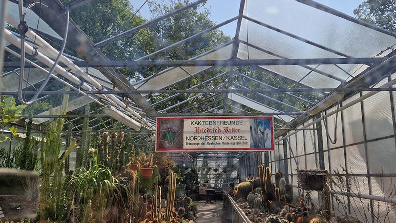 Wegen Hagelschäden bleibt das Kakteenschauhaus im Botanischen Garten geschlossen – Neubau in Planung