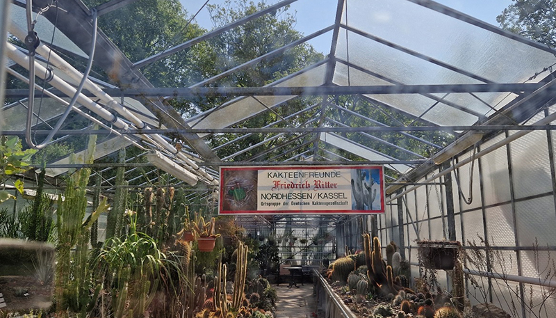 Wegen Hagelschäden bleibt das Kakteenschauhaus im Botanischen Garten geschlossen – Neubau in Planung