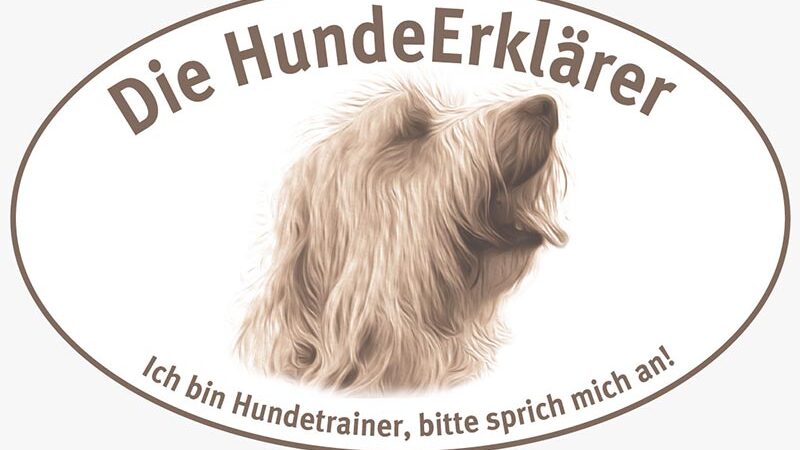 Hundetraining im Urlaub: Spaß, Lernen und Entspannung für Mensch und Hund