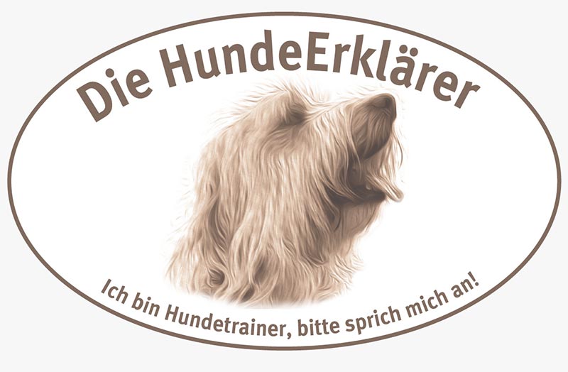 Hundetraining im Urlaub: Spaß, Lernen und Entspannung für Mensch und Hund