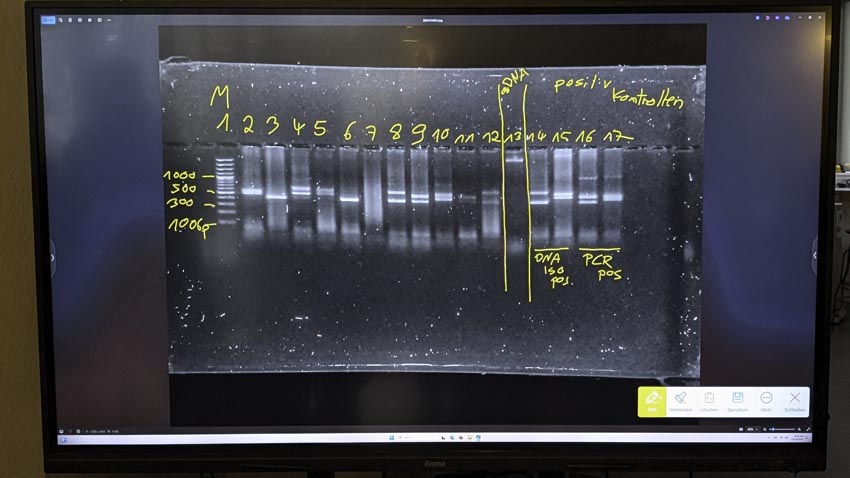 Der genetische Fingerabdruck im Future Space: Workshop mit Dr. Heike Ziegler