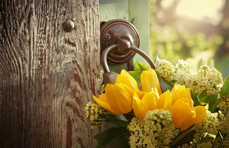Der Frühling klopft an: Wintermüde haben Grund zur Hoffnung