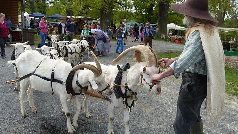 „Frühlingsmarkt“ im Tierpark Sababurg am 26. und 27. April 2025