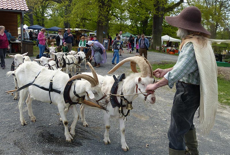 „Frühlingsmarkt“ im Tierpark Sababurg am 26. und 27. April 2025