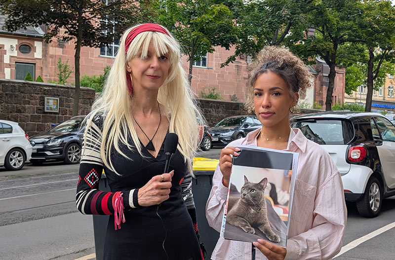 Kassel: Herzzerreißende Suche – Wo ist Kater Monty?