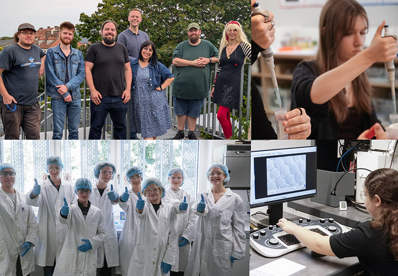 Sommerferien voller Forschung und Entdeckungen – MINT-Ferien in Kassel