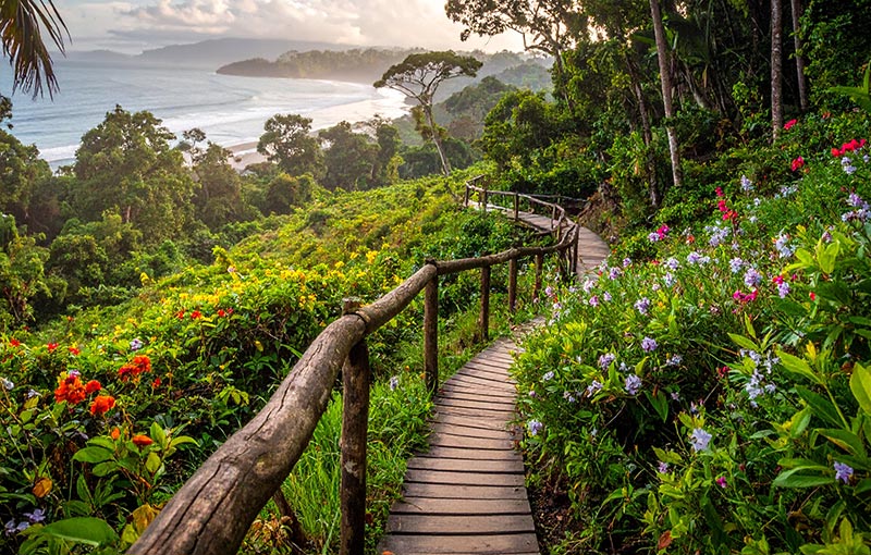 Nachhaltiger Tourismus: Wie Reisen in Costa Rica die Umwelt fördern können