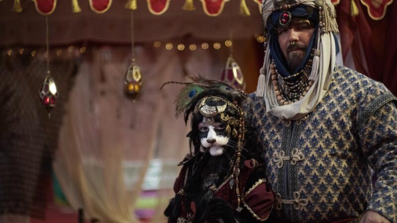 Märchenzauber und Vielfalt auf der Kasseler Herbstausstellung 2025