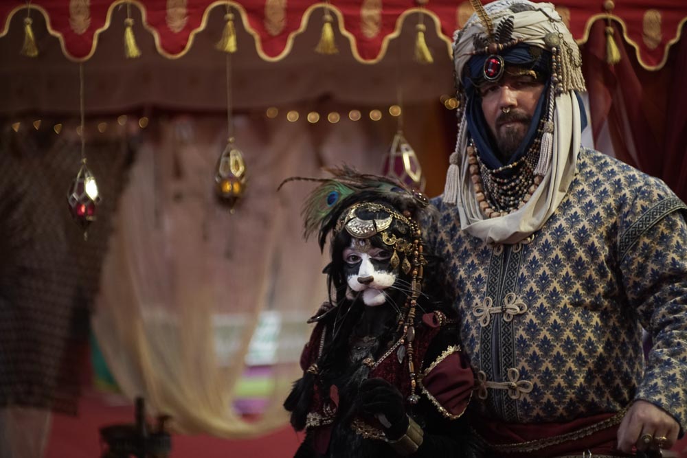 Märchenzauber und Vielfalt auf der Kasseler Herbstausstellung 2025