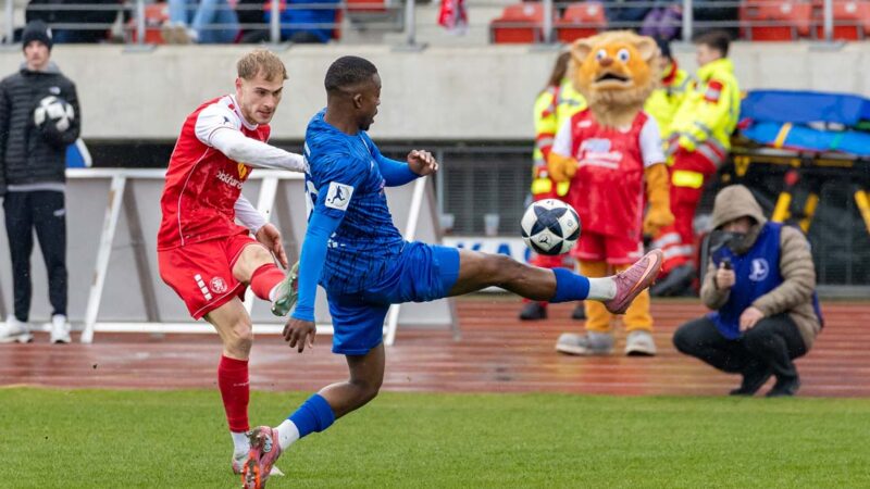 Starke Löwen holen Punkt gegen Spitzenreiter