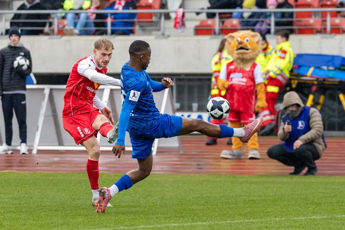 Starke Löwen holen Punkt gegen Spitzenreiter